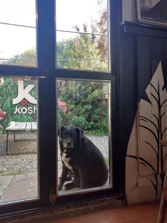 Kosh Hostel San Carlos de Bariloche Kültér fotó
