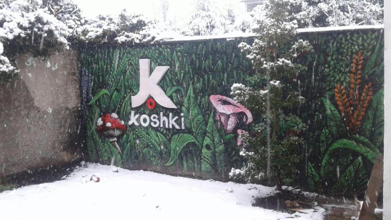 Kosh Hostel San Carlos de Bariloche Kültér fotó